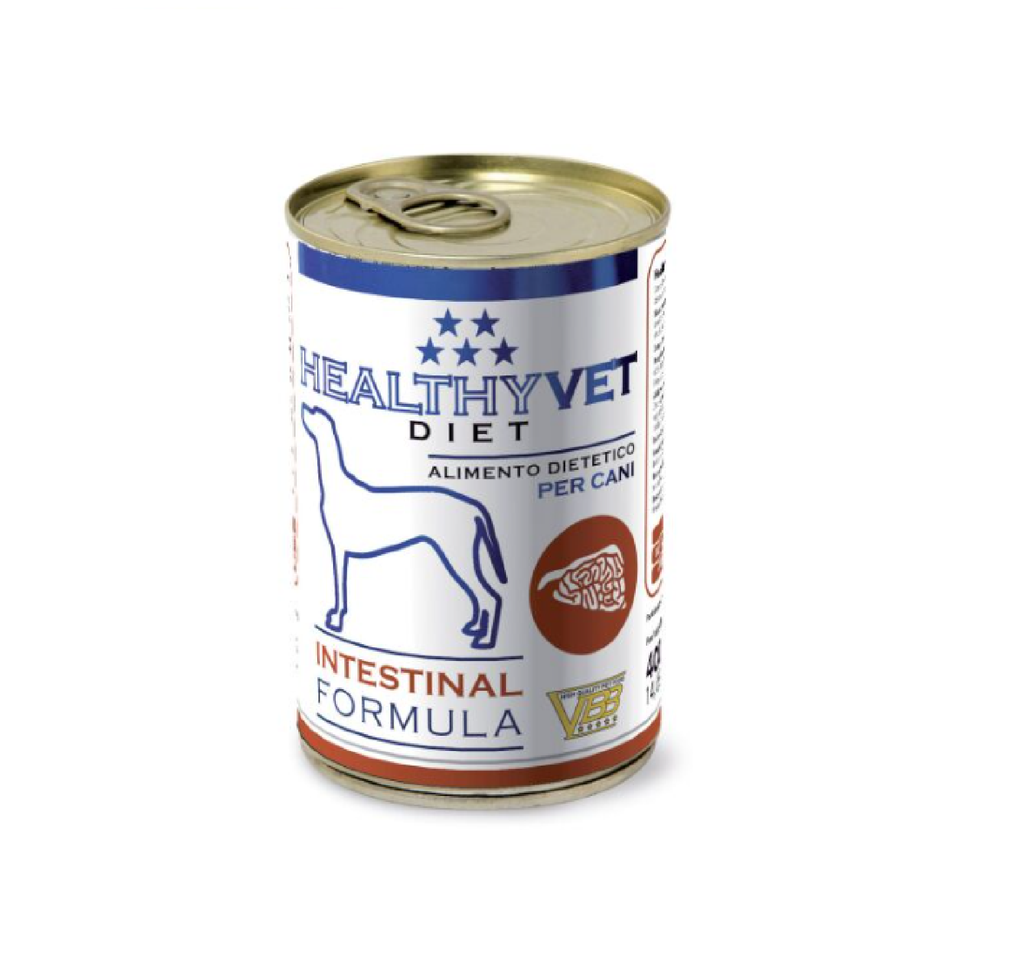 HEALTHY VET DOG INTESTINAL 400GR (12 UND.)