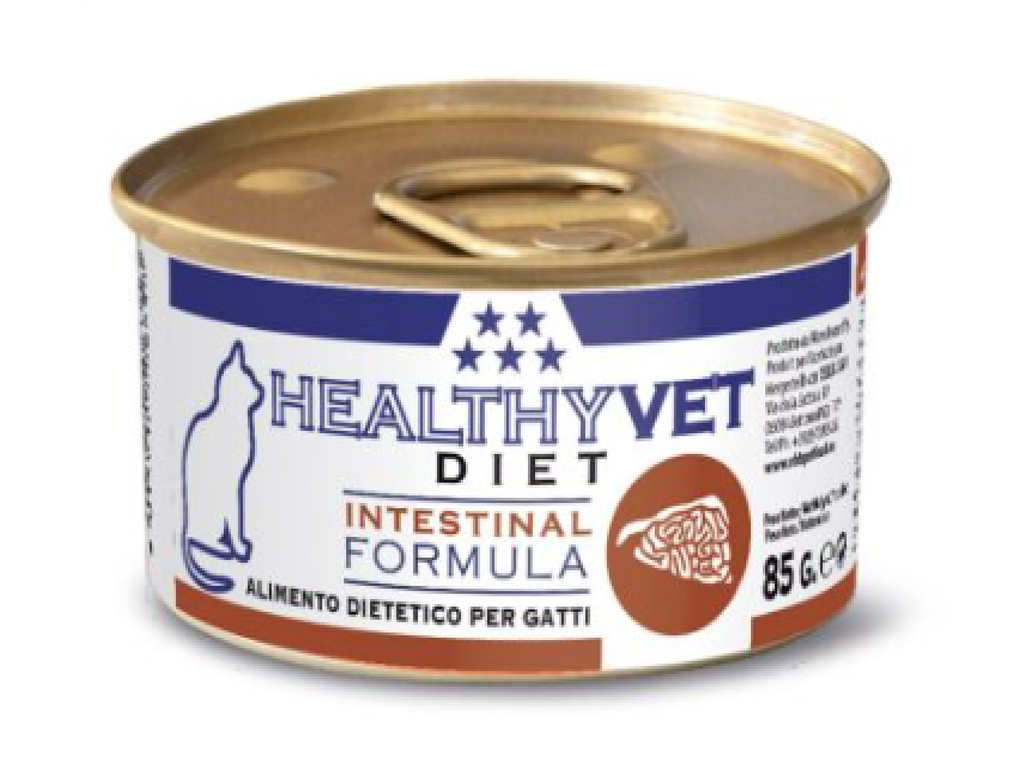 HEALTHY VET CAT INTESTINAL 85GR (24 UND.)