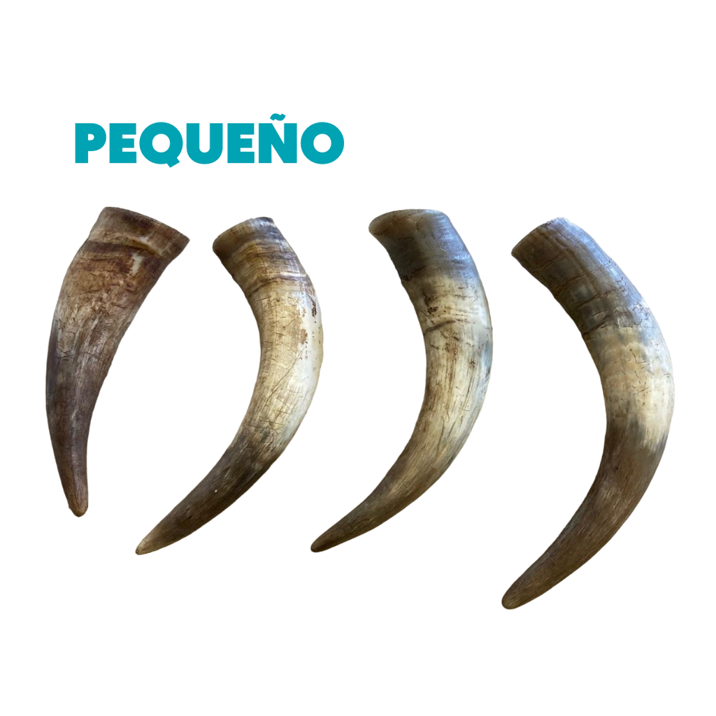 MY FRIENDS CUERNO DE VACUNO (15 UND.)