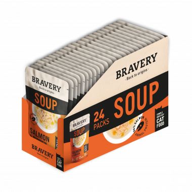 BRAVERY CAT SOPA SALMON & PUMPKIN 40 GR (24 UND.)