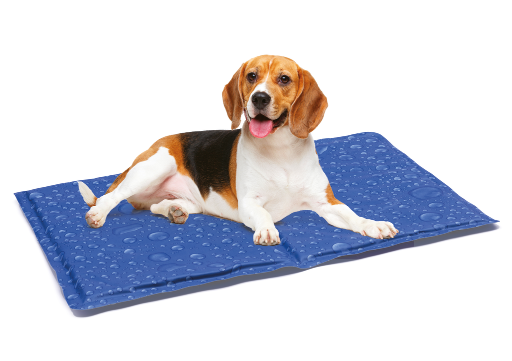 LEO PET ALFOMBRA REFRESCANTE BURBUJAS 90x50CM