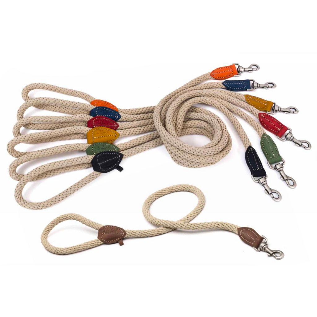 LEO PET CUERDA Y PLOMO CUERO GRASADO 110Ø1,5 CM MARRÓN