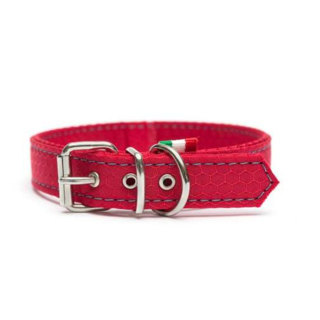 LEO PET COLLAR DE TELA IMPERMEABLE OXFORD ROJO 30x2 CM