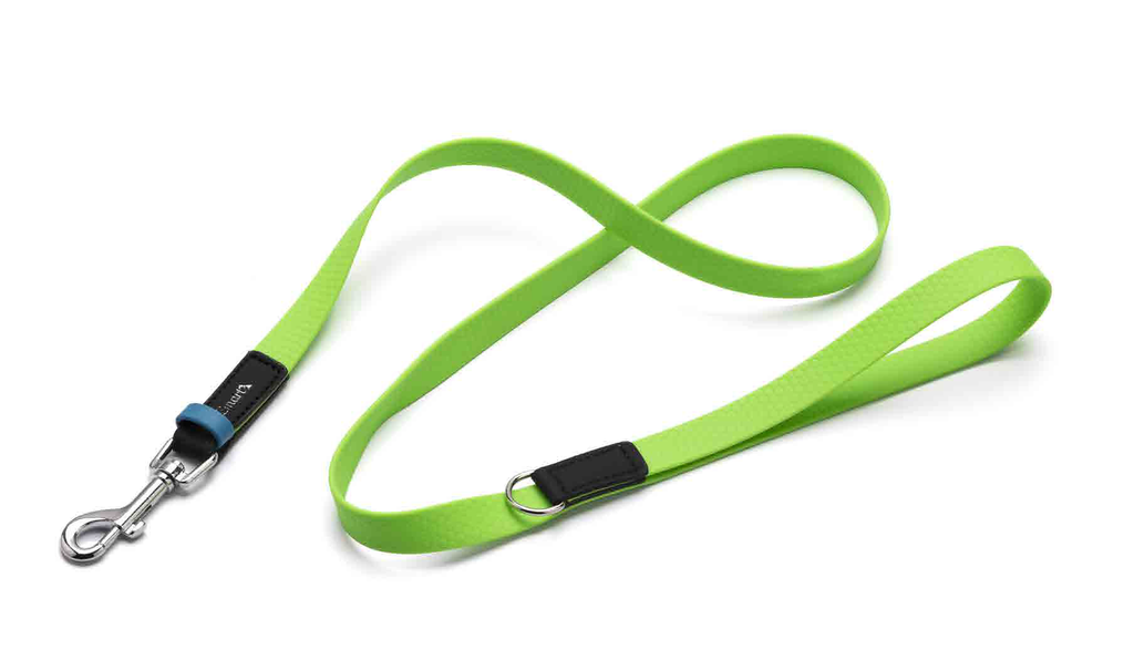 LEO PET COLLAR PVC VERDE 120X2 CM