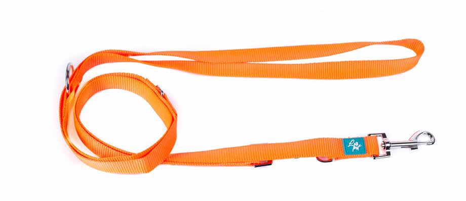 LEO PET CORREA DE ENTRENAMIENTO EN NYLON ARANCIO 2,5 x 300CM GROSOR 2,2 MM
