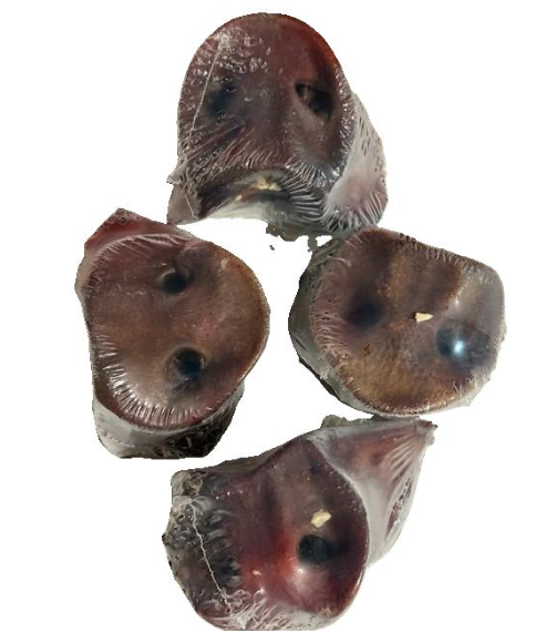 MY FRIENDS NARICES DE CERDO (25 UND.)