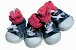 FREEDOG DEPORTIVAS ALLSTAR T-S