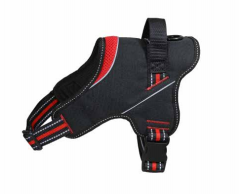 [10260401] FREEDOG ARNES STRONG ROJO M