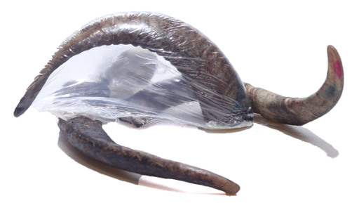 [2015-41] MY FRIENDS ASTA DE CABRA MONTESA TALLA L (15 UND.)