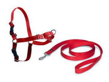 [EW-H-S-RD-45] NAYECO EASY WALK ARNÉS PEQUEÑO ROJO